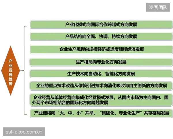 未來或將出現由權威機構主導的冰刀材料性能開源數據平台,以加速全行業的創新迭代 未來或將出現由權威機構主導的冰刀材料性能開源數據平台,以加速全行業的創新迭代